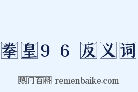 拳皇96反义词是什么意思的图片